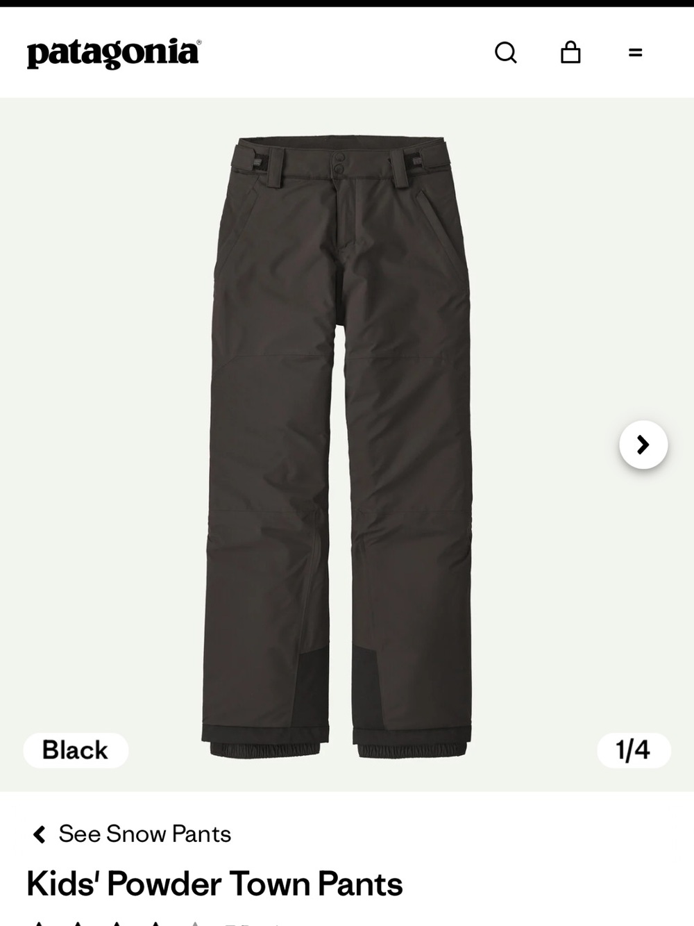 Patagonia Kids Black Powder Down Snow Pant